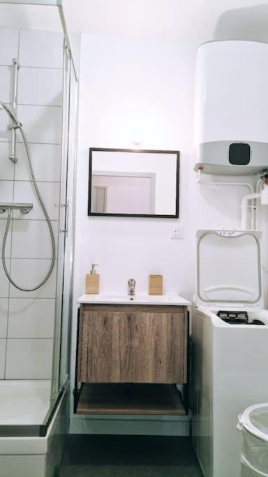 Le Cosy Central Moderne Et Chaleureux Σαιντ-Ετιέν Εξωτερικό φωτογραφία